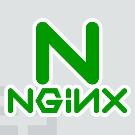 Nginx 1